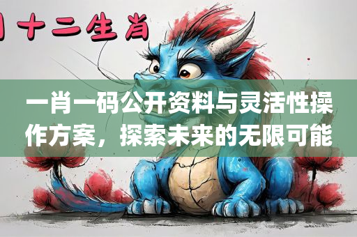 一肖一码公开资料与灵活性操作方案，探索未来的无限可能