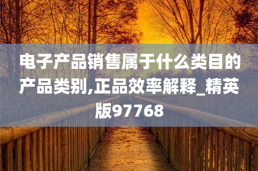 电子产品销售属于什么类目的产品类别,正品效率解释_精英版97768