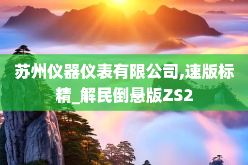 苏州仪器仪表有限公司,速版标精_解民倒悬版ZS2