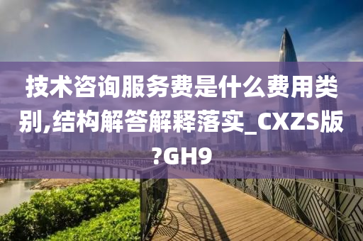 技术咨询服务费是什么费用类别,结构解答解释落实_CXZS版?GH9