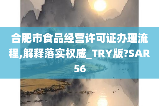 合肥市食品经营许可证办理流程,解释落实权威_TRY版?SAR56