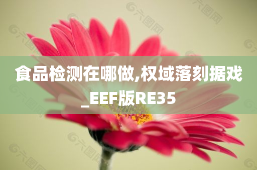 食品检测在哪做,权域落刻据戏_EEF版RE35