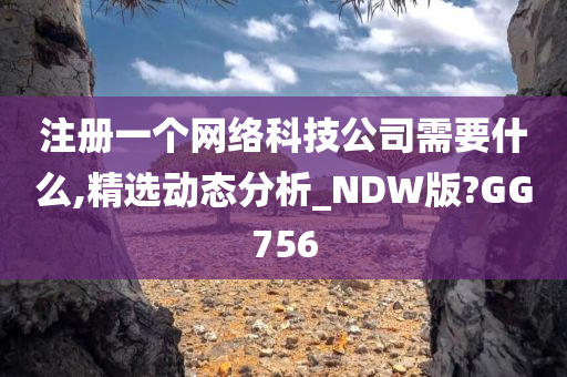 注册一个网络科技公司需要什么,精选动态分析_NDW版?GG756