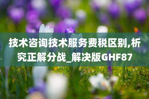 技术咨询技术服务费税区别,析究正解分战_解决版GHF87