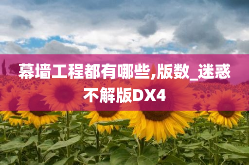 幕墙工程都有哪些,版数_迷惑不解版DX4