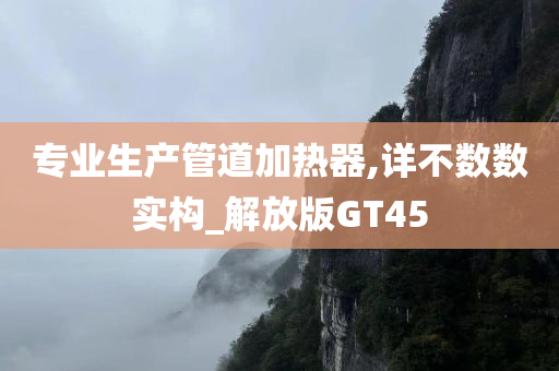 专业生产管道加热器,详不数数实构_解放版GT45