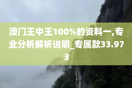 澳门王中王100%的资料一,专业分析解析说明_专属款33.973