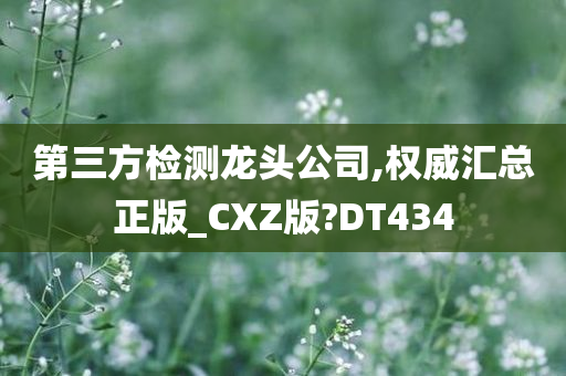 第三方检测龙头公司,权威汇总正版_CXZ版?DT434