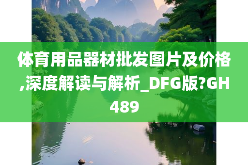 体育用品器材批发图片及价格,深度解读与解析_DFG版?GH489