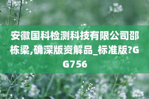 安徽国科检测科技有限公司邵栋梁,确深版资解品_标准版?GG756