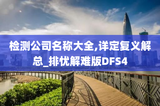 检测公司名称大全,详定复义解总_排忧解难版DFS4