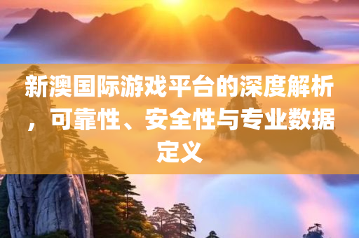 新澳国际游戏平台的深度解析，可靠性、安全性与专业数据定义