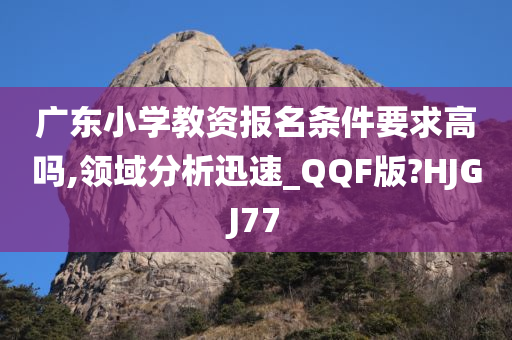 广东小学教资报名条件要求高吗,领域分析迅速_QQF版?HJGJ77