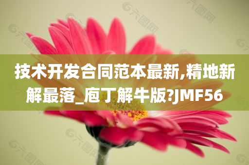 技术开发合同范本最新,精地新解最落_庖丁解牛版?JMF56