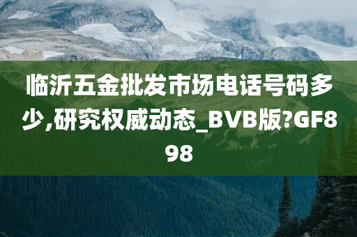 临沂五金批发市场电话号码多少,研究权威动态_BVB版?GF898