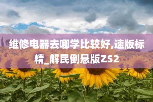 维修电器去哪学比较好,速版标精_解民倒悬版ZS2