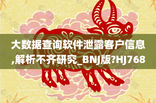 大数据查询软件泄露客户信息,解析不齐研究_BNJ版?HJ768