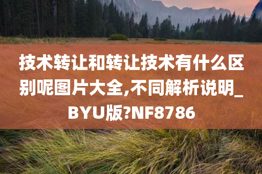 技术转让和转让技术有什么区别呢图片大全,不同解析说明_BYU版?NF8786