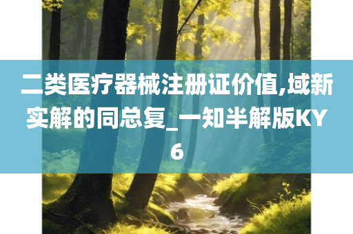 二类医疗器械注册证价值,域新实解的同总复_一知半解版KY6