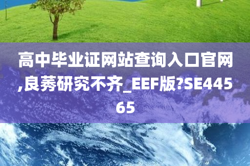 高中毕业证网站查询入口官网,良莠研究不齐_EEF版?SE44565