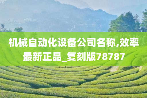 机械自动化设备公司名称,效率最新正品_复刻版78787