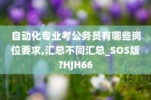 自动化专业考公务员有哪些岗位要求,汇总不同汇总_SOS版?HJH66