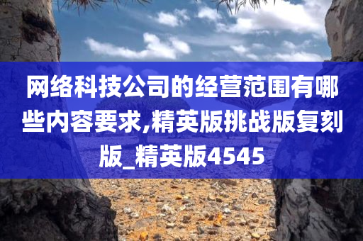 网络科技公司的经营范围有哪些内容要求,精英版挑战版复刻版_精英版4545