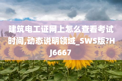 建筑电工证网上怎么查看考试时间,动态说明领域_SWS版?HJ6667