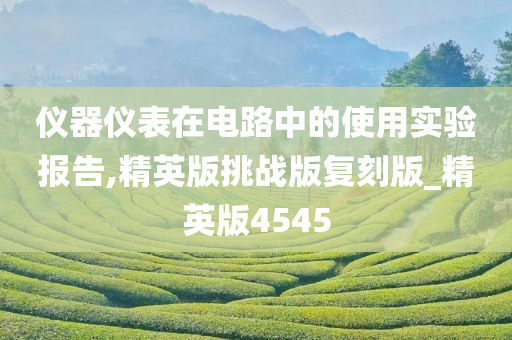 仪器仪表在电路中的使用实验报告,精英版挑战版复刻版_精英版4545