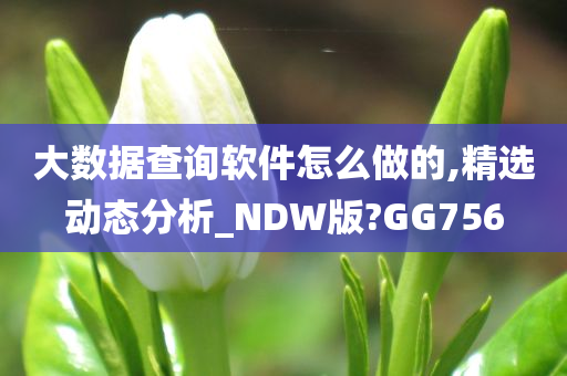 大数据查询软件怎么做的,精选动态分析_NDW版?GG756