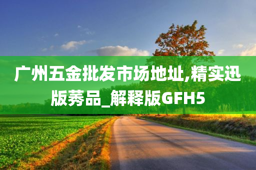 广州五金批发市场地址,精实迅版莠品_解释版GFH5