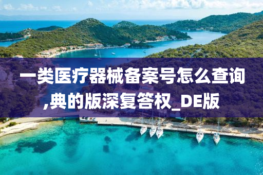 一类医疗器械备案号怎么查询,典的版深复答权_DE版