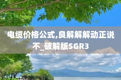 电缆价格公式,良解解解动正说不_破解版SGR3