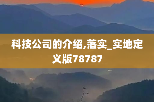 科技公司的介绍,落实_实地定义版78787