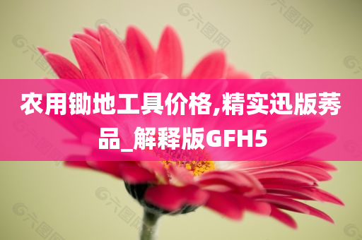 农用锄地工具价格,精实迅版莠品_解释版GFH5