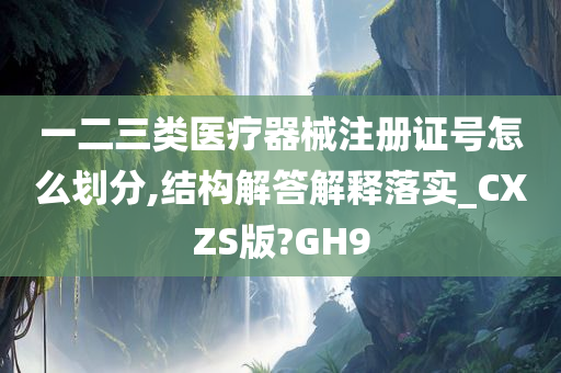 一二三类医疗器械注册证号怎么划分,结构解答解释落实_CXZS版?GH9