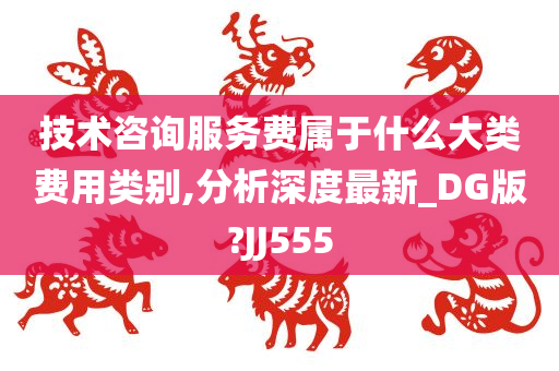 技术咨询服务费属于什么大类费用类别,分析深度最新_DG版?JJ555