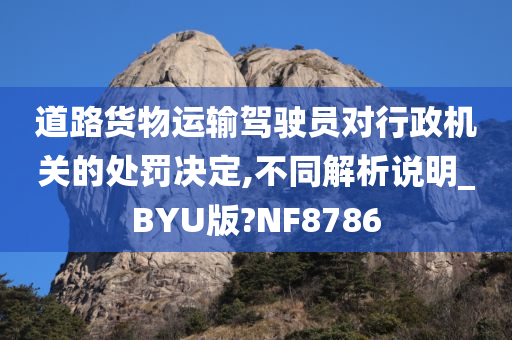 道路货物运输驾驶员对行政机关的处罚决定,不同解析说明_BYU版?NF8786