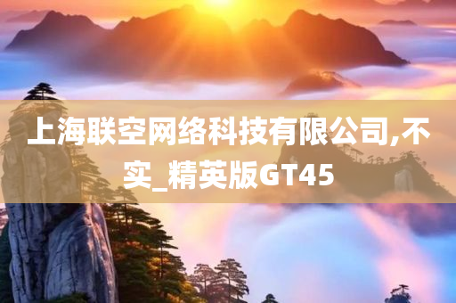 上海联空网络科技有限公司,不实_精英版GT45