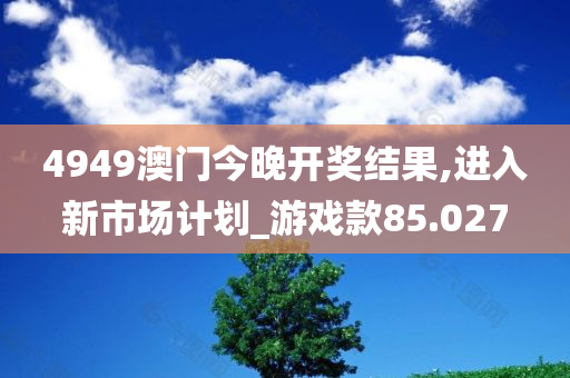 4949澳门今晚开奖结果,进入新市场计划_游戏款85.027