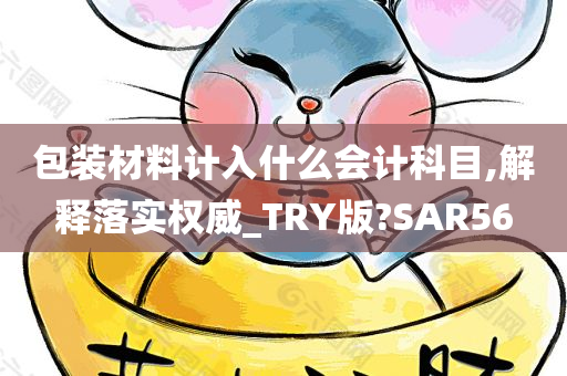 包装材料计入什么会计科目,解释落实权威_TRY版?SAR56