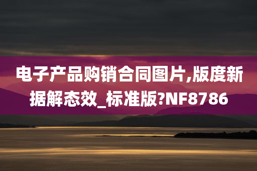 电子产品购销合同图片,版度新据解态效_标准版?NF8786