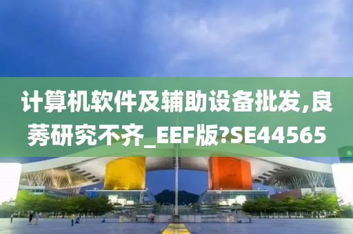 计算机软件及辅助设备批发,良莠研究不齐_EEF版?SE44565