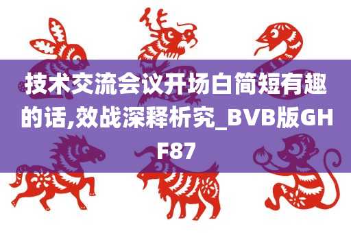 技术交流会议开场白简短有趣的话,效战深释析究_BVB版GHF87