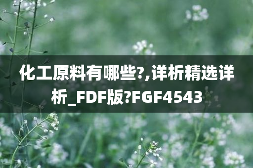 化工原料有哪些?,详析精选详析_FDF版?FGF4543