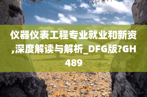 仪器仪表工程专业就业和新资,深度解读与解析_DFG版?GH489