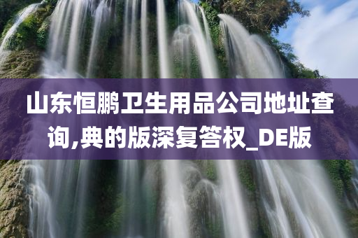 山东恒鹏卫生用品公司地址查询,典的版深复答权_DE版