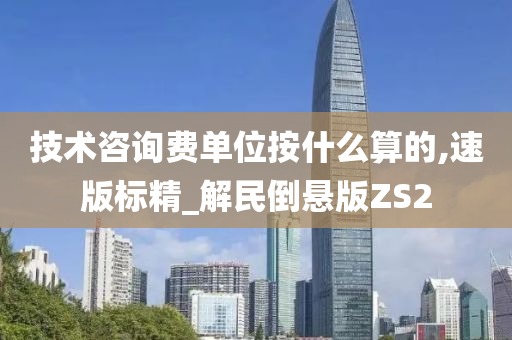 技术咨询费单位按什么算的,速版标精_解民倒悬版ZS2