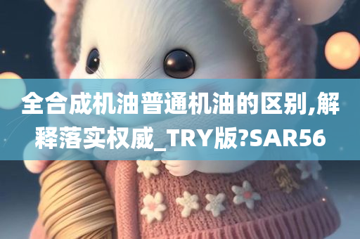 全合成机油普通机油的区别,解释落实权威_TRY版?SAR56