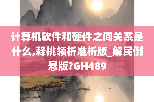 计算机软件和硬件之间关系是什么,释挑领析准析版_解民倒悬版?GH489